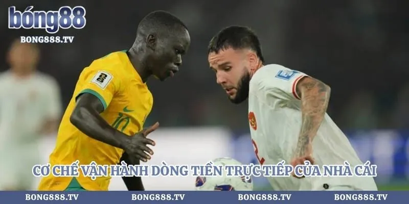 Kèo Rung - Chiến Thuật Đầu Tư An Toàn Từ Chuyên Gia Hình số 3 tại almustafa.tv Cơ chế vận hành dòng tiền trực tiếp của nhà cái