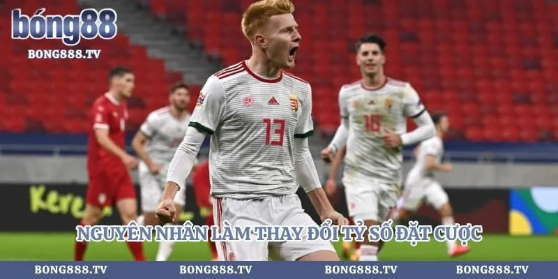 Kèo nhà cái Hình số 3 tại almustafa.tv Nguyên nhân làm thay đổi tỷ số đặt cược