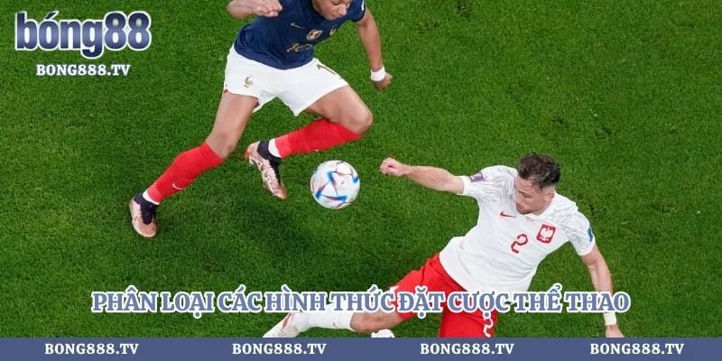 Kèo nhà cái Hình số 2 tại almustafa.tv Phân loại các hình thức đặt cược thể thao